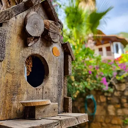 Liya Boutique & Akyaka (Mugla)