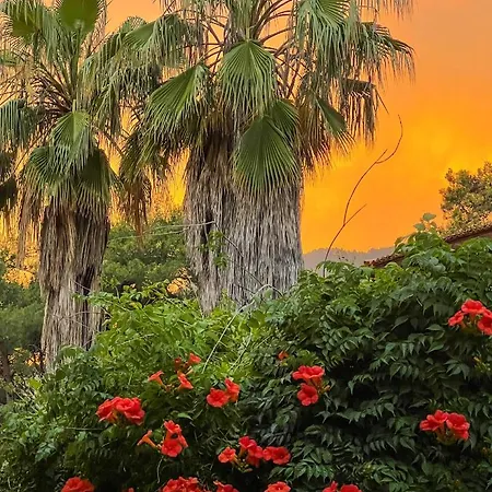 Liya Boutique & Apartamento Akyaka (Mugla)