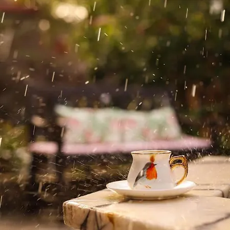 Lejlighed Liya Boutique & *