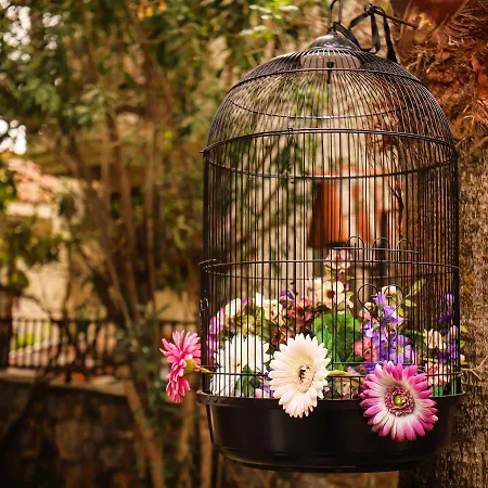 Liya Boutique & Lejlighed