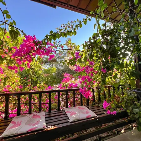Apartamento Liya Boutique &