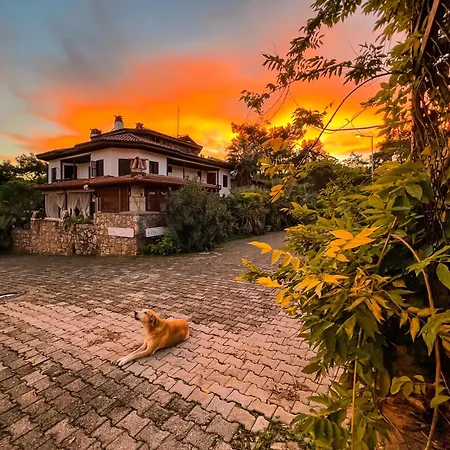 Liya Boutique & アパート *